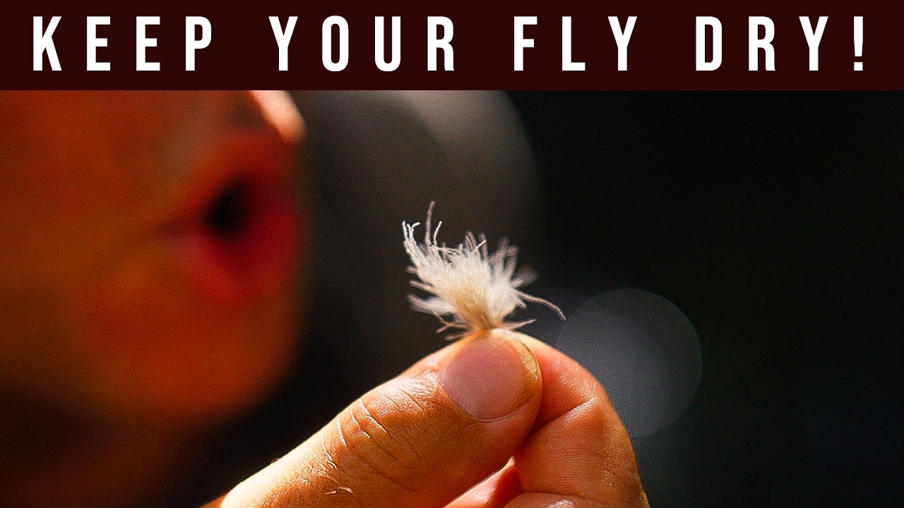 How To Keep Your Dry Fly AFLOAT!