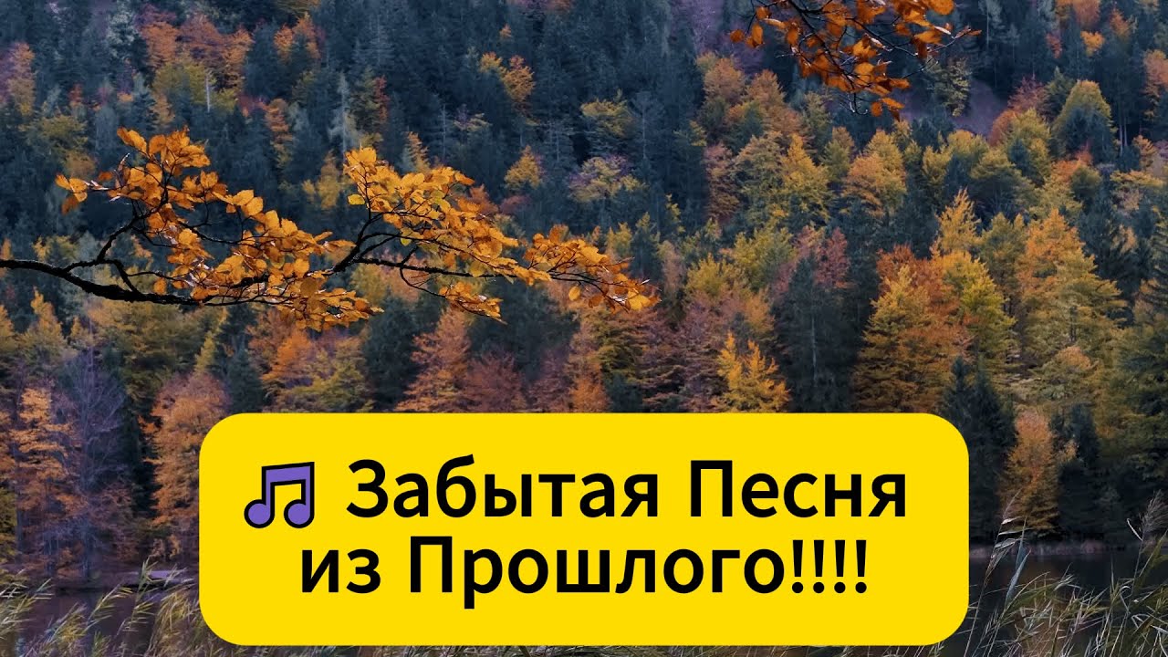 Старая забытая Песня из Прошлого!! 🔥Как - же это всё ,мы не сберегли с тобой!!