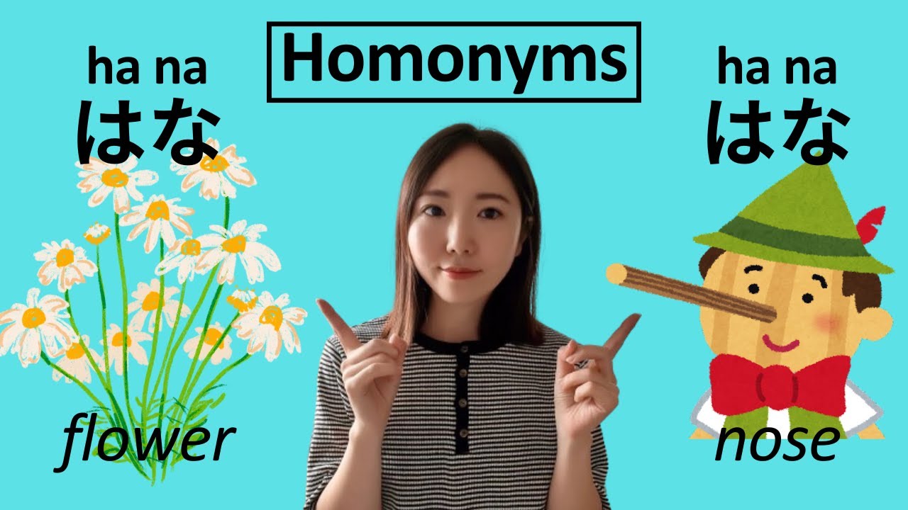 Japanese Homonyms｜HANA is 