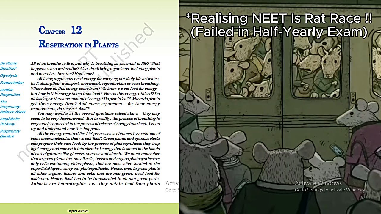 Ranking NCERT Class 11th Biology Chapters with Memes