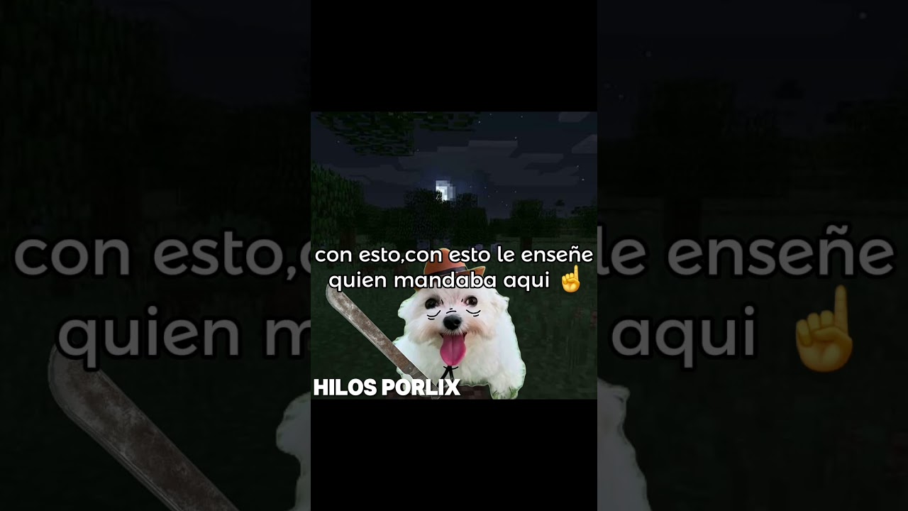 un verdadero miedo son las mujeres 🙀 #hilos #humor #memes #mexico