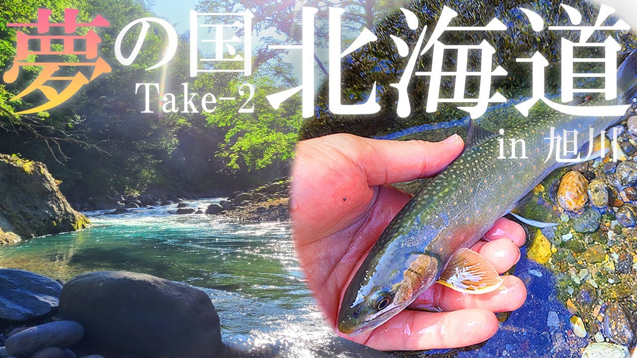 旭川（忠別川）で念願のオショロコマ？？～夢の国 北海道｜ #北海道渓流釣り