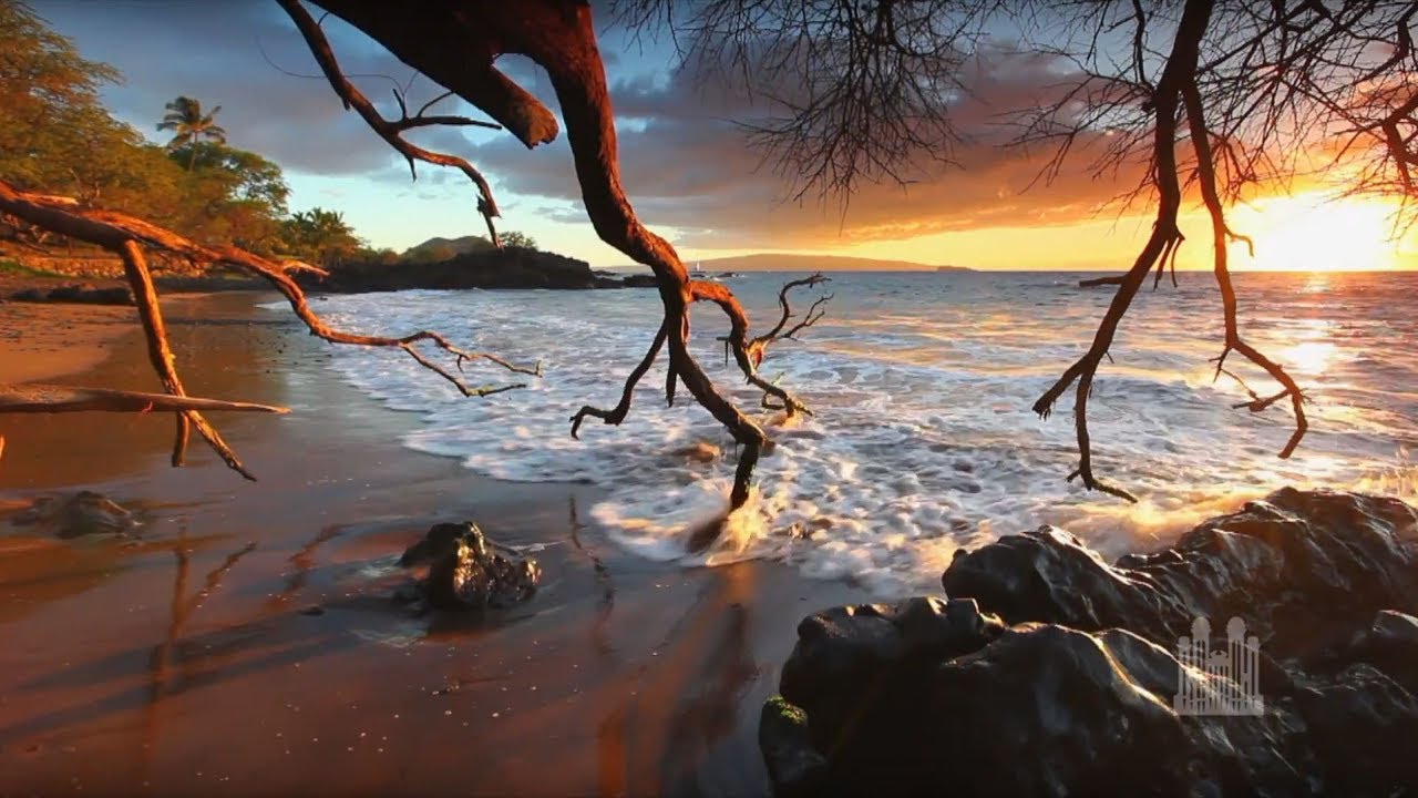 New Year's Special (January 1, 2017) - Music & The Spoken Word