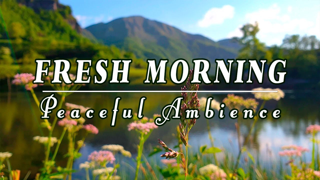 🌿🌞Begin Your Day with POSITIVE ENERGY🌿Healing Nature Sounds | Fresh Morning Peaceful Lake Ambience#1