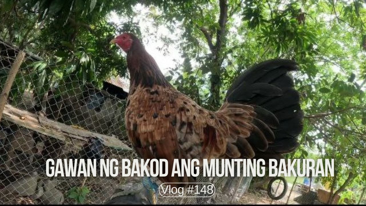 Gawan ng Bakod ang munting bakuran