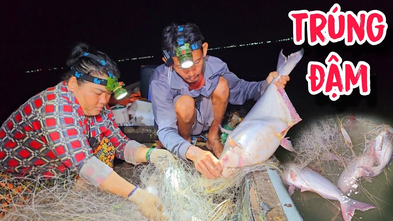 Tay Lưới May Mắn Nhất Đêm Nay , Cá Lên Nhìn Mê Mắt | #66TV #fishing