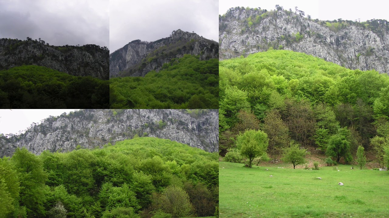 Radio Tour: Cele mai frumoase parcuri naturale din România