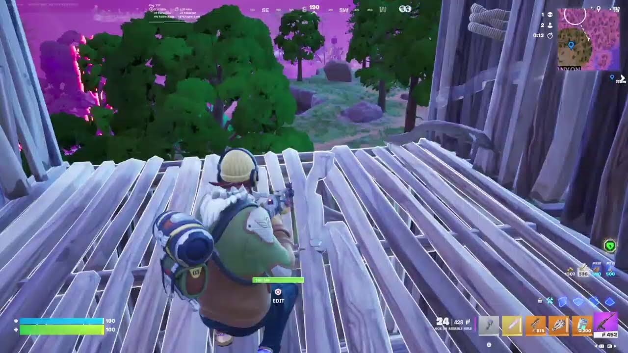 Another Victory Royale?