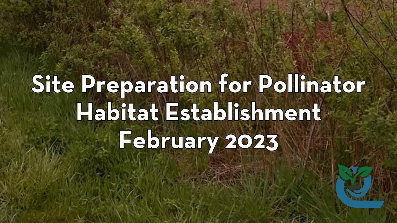 Site Preparation for Pollinator Habitat Establishment