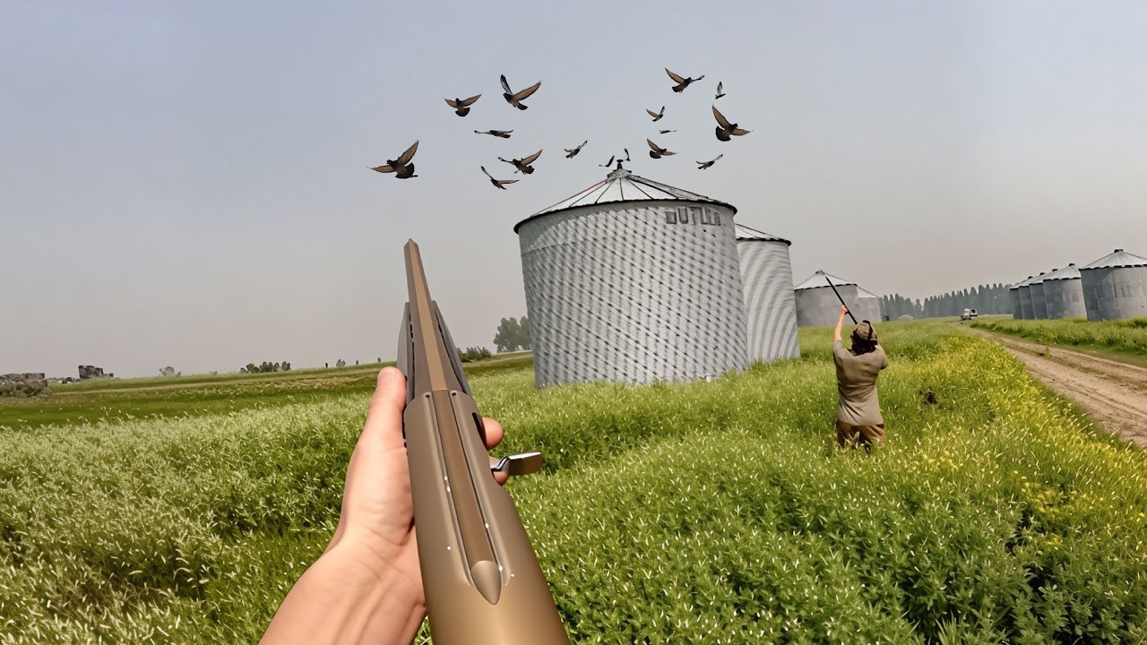These Hidden Grain Bins Were LOADED With Pigeons! (Poofing Pigeons)