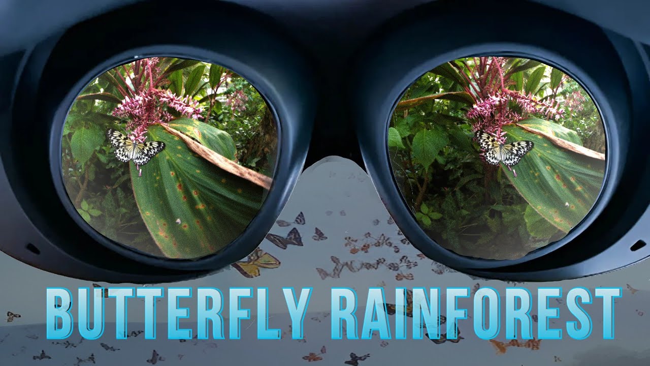 Butterfly Rainforest in VR 3D (New version)