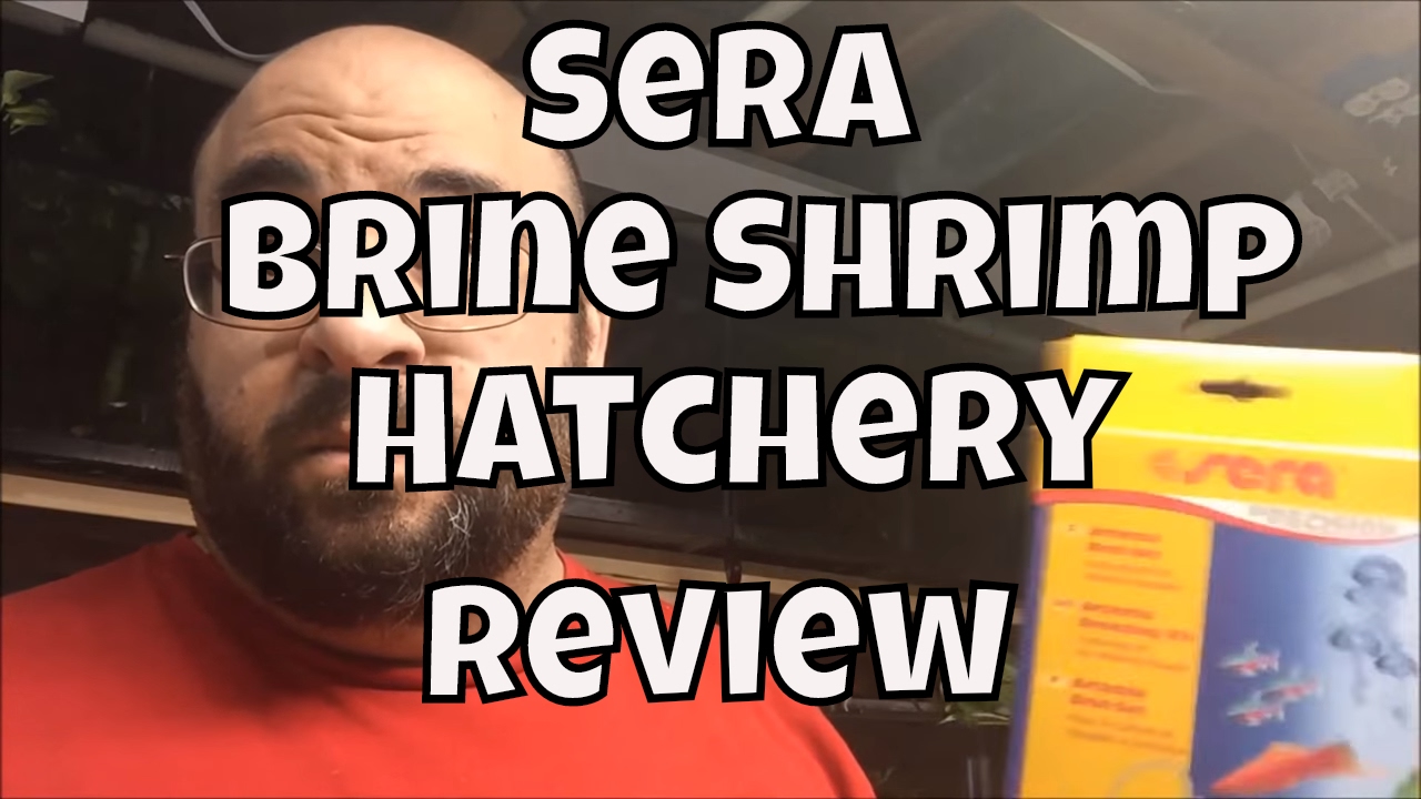 Sera Artemia Breeding Kit unboxing 2 litter Brine shrimp hatchery Angel Fish Fry