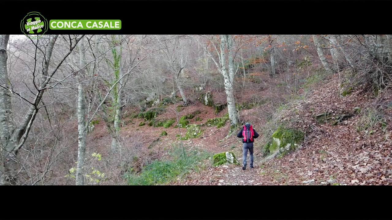 Conca Casale  - Alla scoperta del borgo - Puntata n. 7048 - Viaggio in Molise - Telemolise