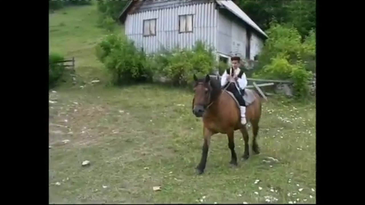 Hrvatski guslar-Ante Tolo