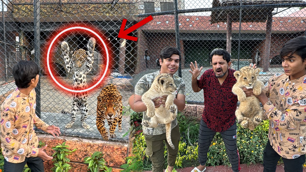 Aj Hum Leapord Sy Mila 😱 Or Lion Cub dakha 🥰