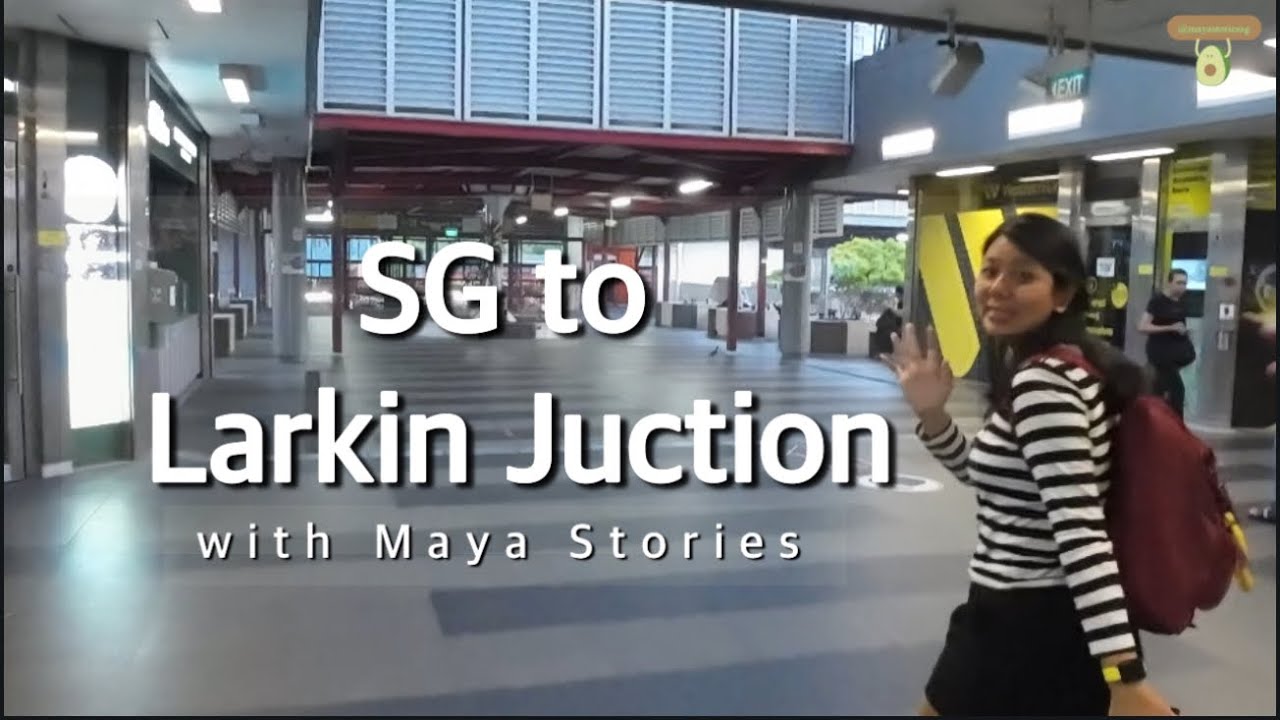 How to go to Larkin Juction, New Mall near Larkin Sentral