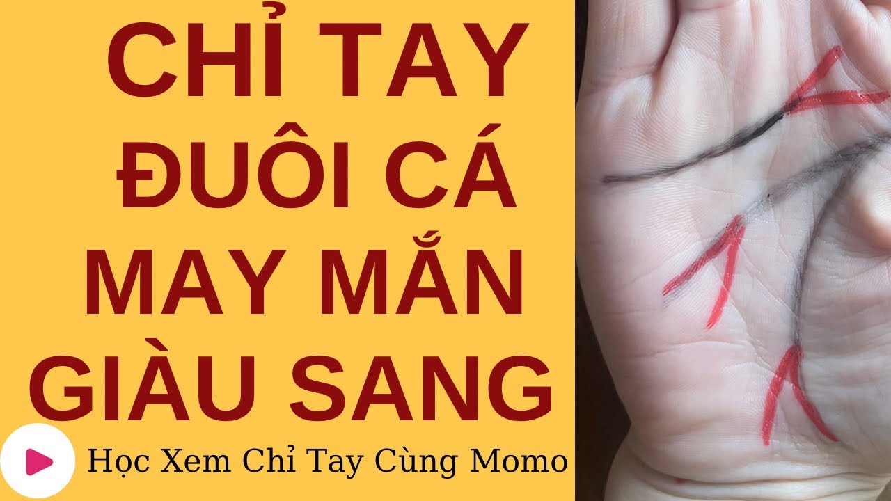 Người Sở Hữu Chỉ Tay Đuôi Cá May Mắn- Giàu Sang!|Học Xem Chỉ Tay Cùng Momo #7
