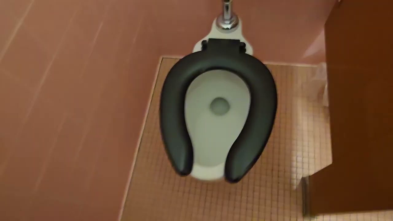 1960s Coral Pink Women's Dorm Bathroom Walkthrough: Unknown Vintage High-Flow Toilet