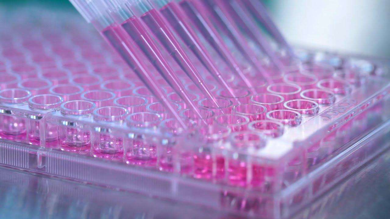 How to Generate Hybridomas in 96-Well Plates Using ClonaCell™-HY Semi-Solid Cloning Medium