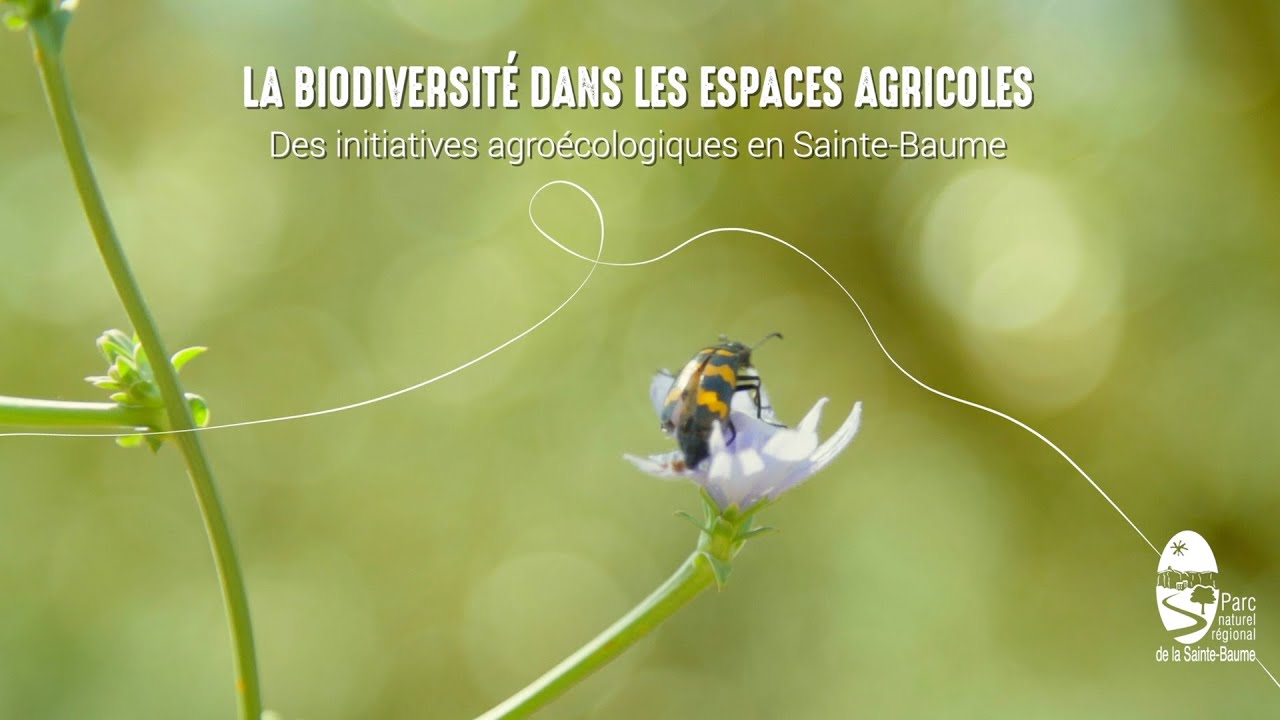 La biodiversité dans les espaces agricoles - Des initiatives agroécologiques en Sainte-Baume