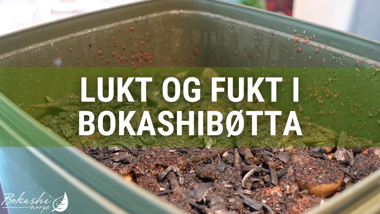 Lukt og fukt i bokashibøtta
