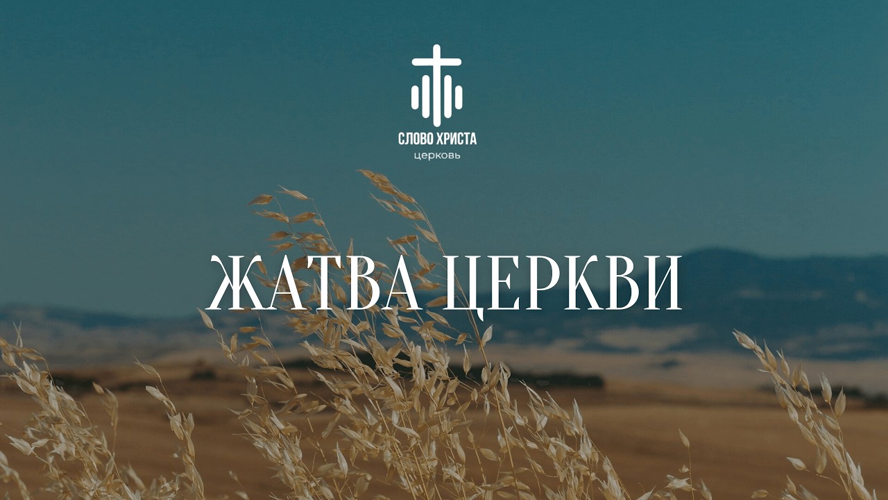 Жатва Церкви || Алексей Альшевский