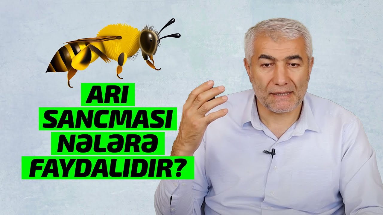 Arı sancması nələrə faydalıdır | Fizuli Hüseynov