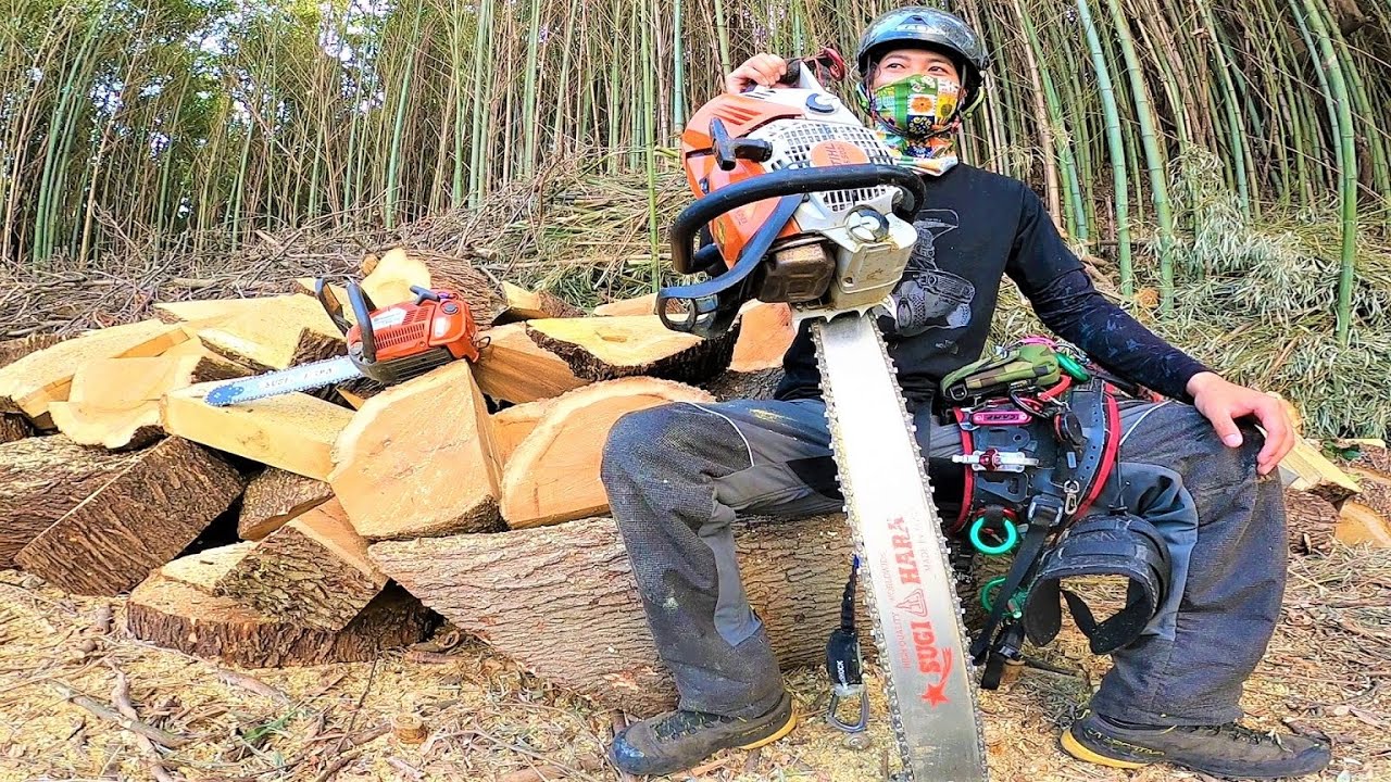 強烈に屋根に覆いかぶさった大木の特殊伐採♪　神戸市