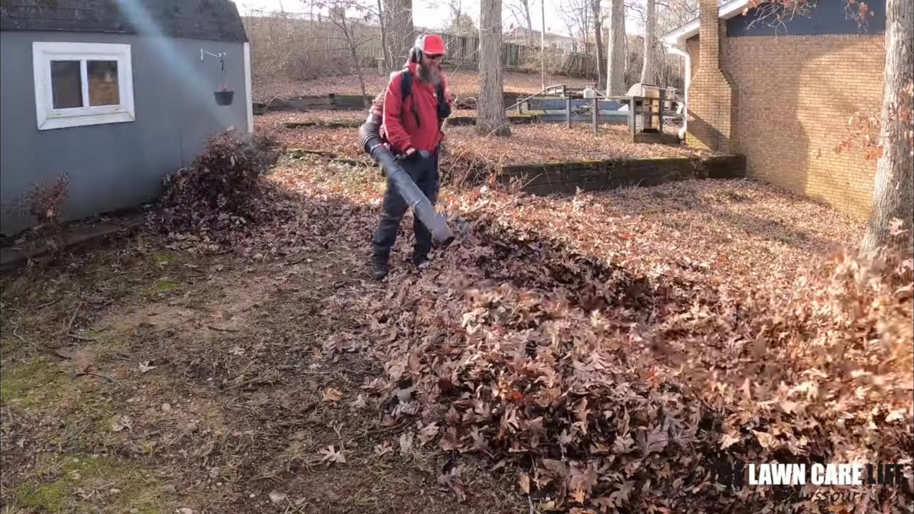 How Long Do You Think This Job Took?  Favorite Leaf Removal Job!  Blow, Suck Up, Haul Off and Dump!