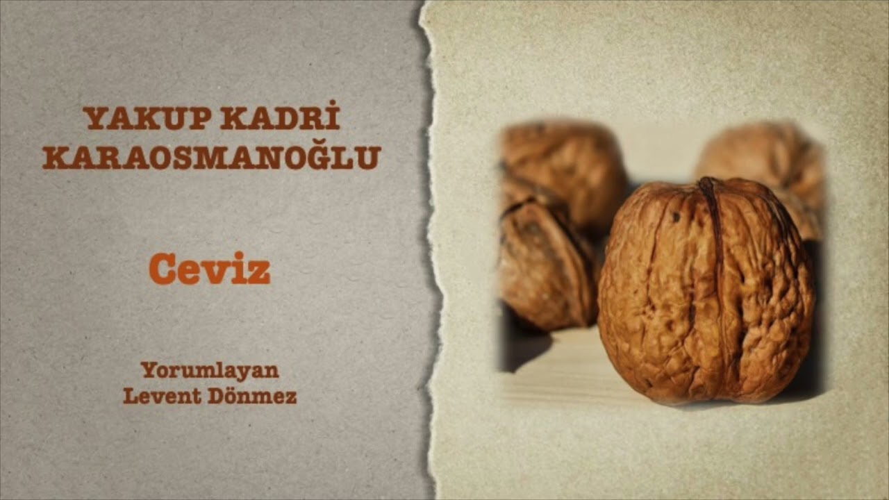 Yakup Kadri Karaosmanoğlu - Ceviz
