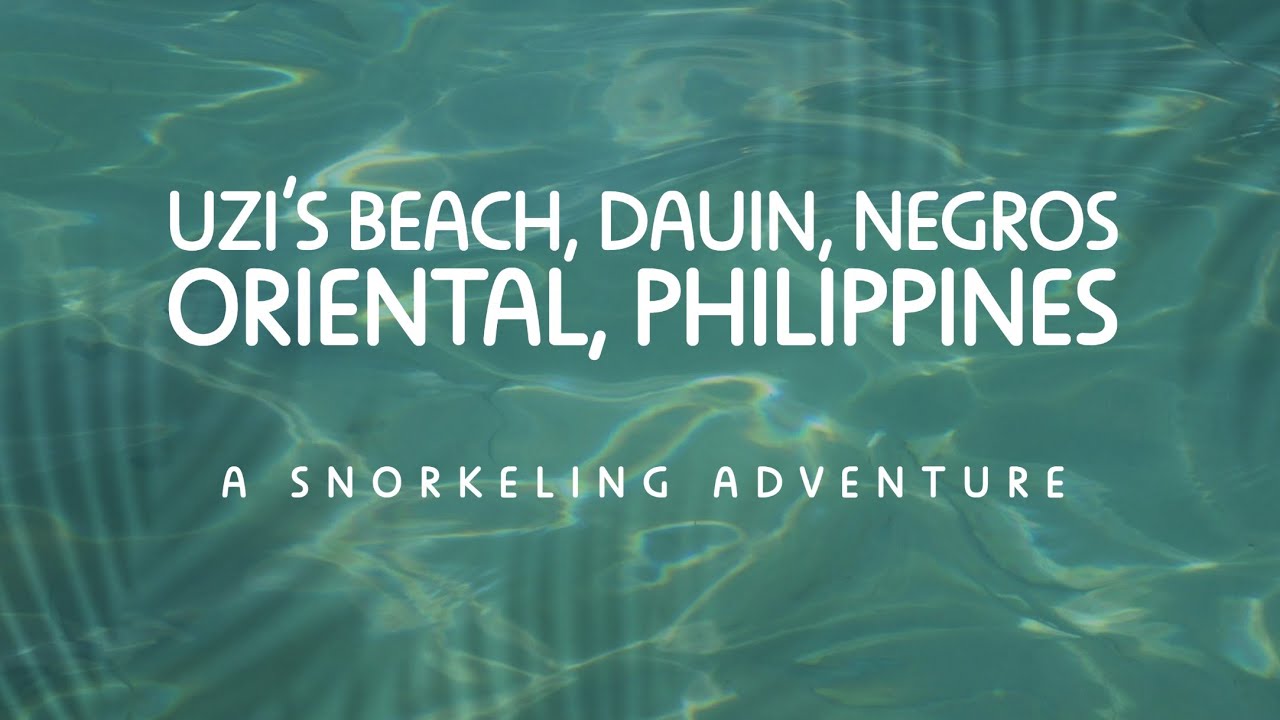 Dauin Uzi's Beach, Philippines | Snorkeling (filmed in 4K)