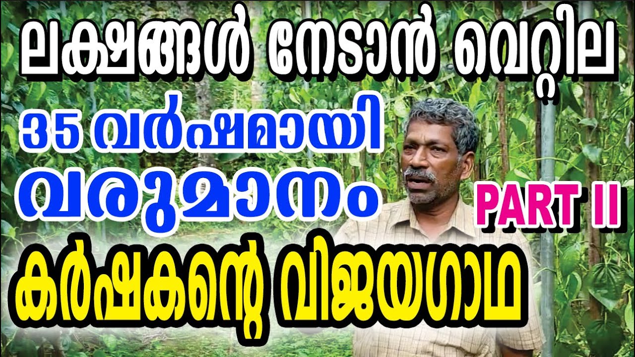 മികച്ച വരുമാനം തരും വെറ്റില #keralaagriculture