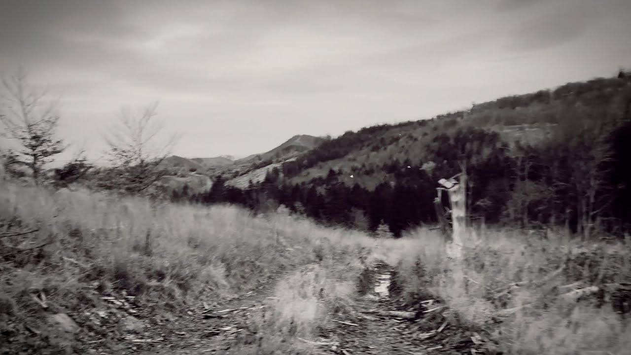 Hordes of Defences - ov oaks and beeches (official music video)