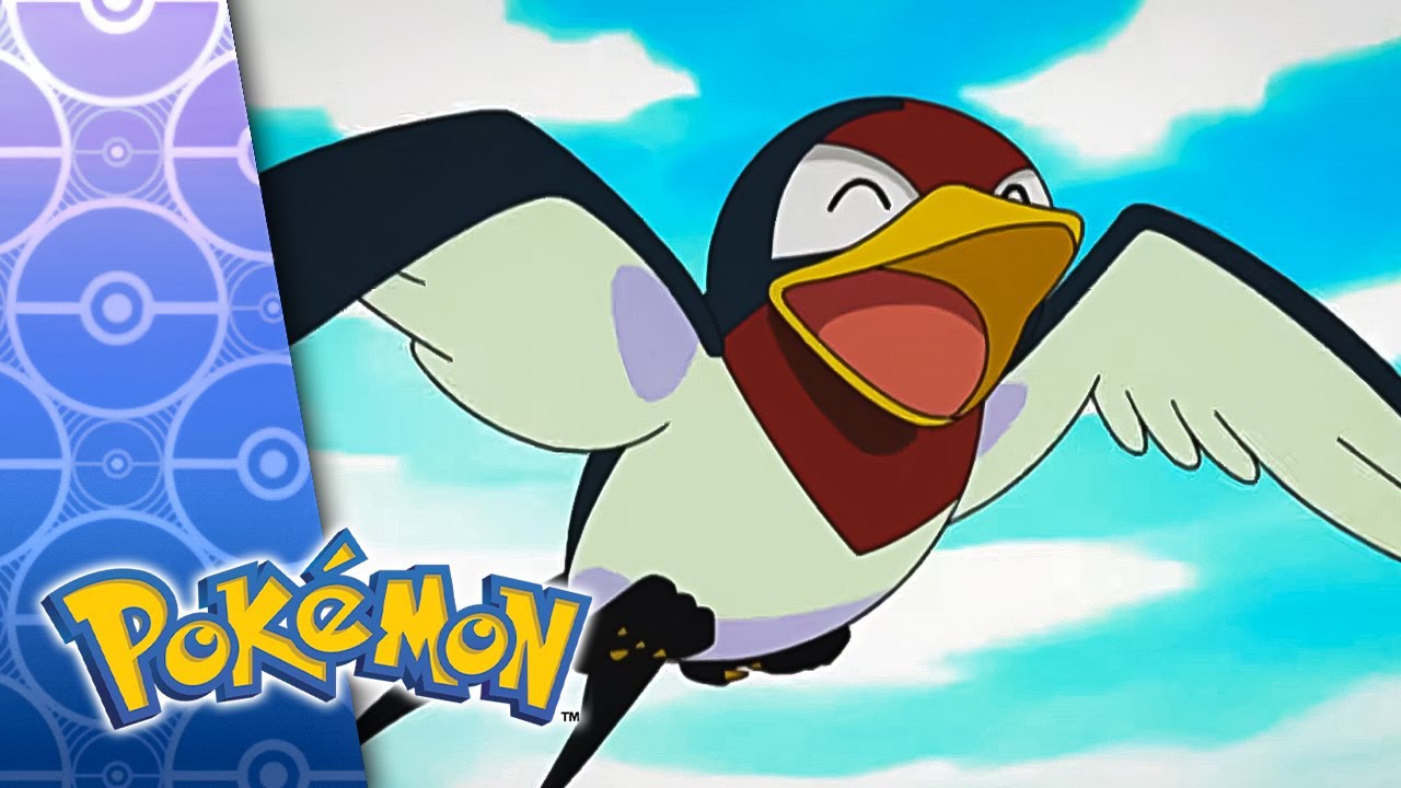 Тэйллоу бояться - в лес не ходить | POKÉMON FULL EPISODE 4 | Season 6