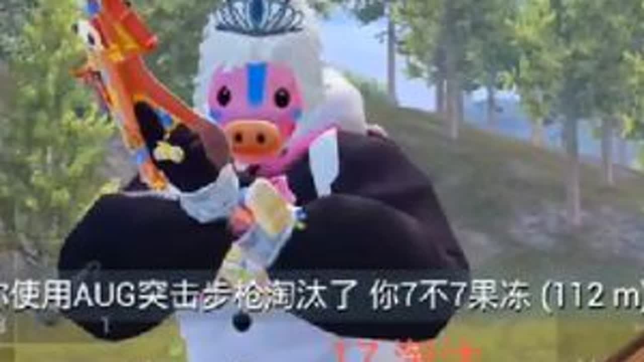 重生之番茄大王在和平精英当爽文大女主