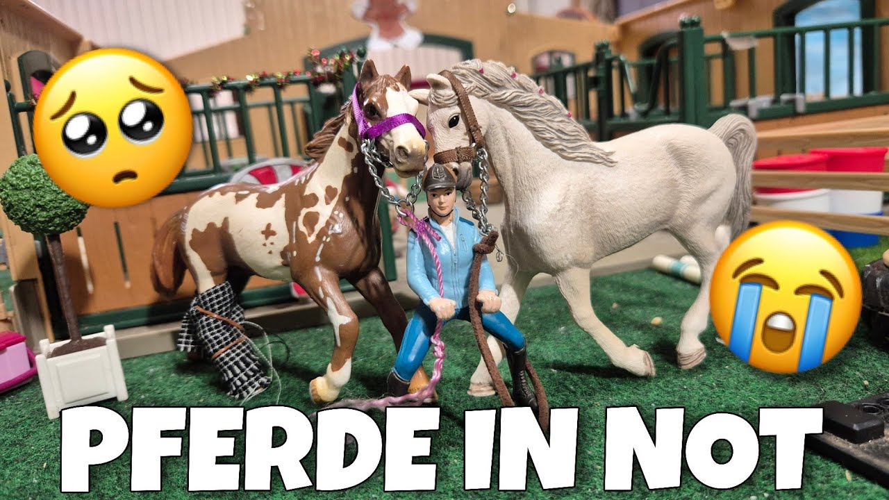 2 Pferde in NOT😭🐴Kann ihnen geholfen werden? Geschichte 🌹💕