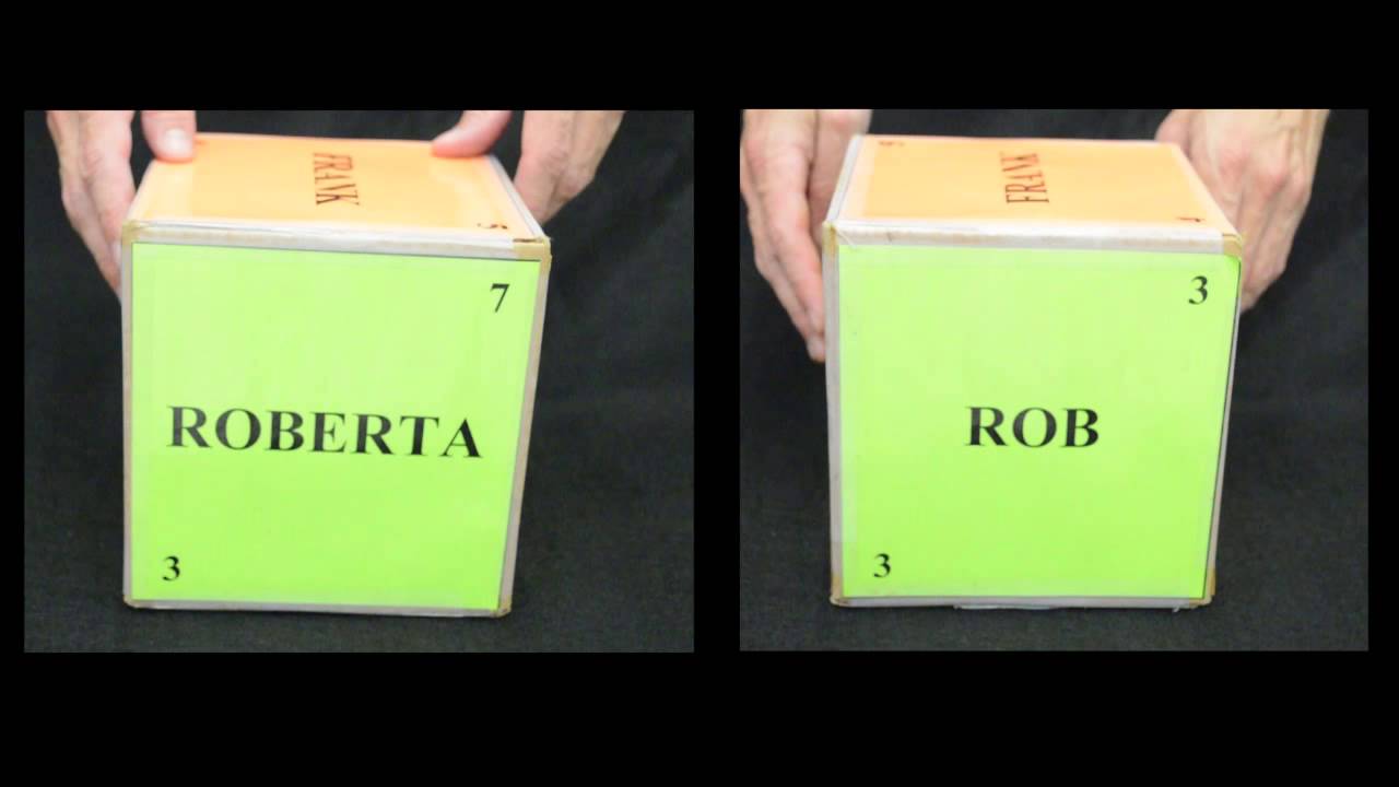Scientific Method Box