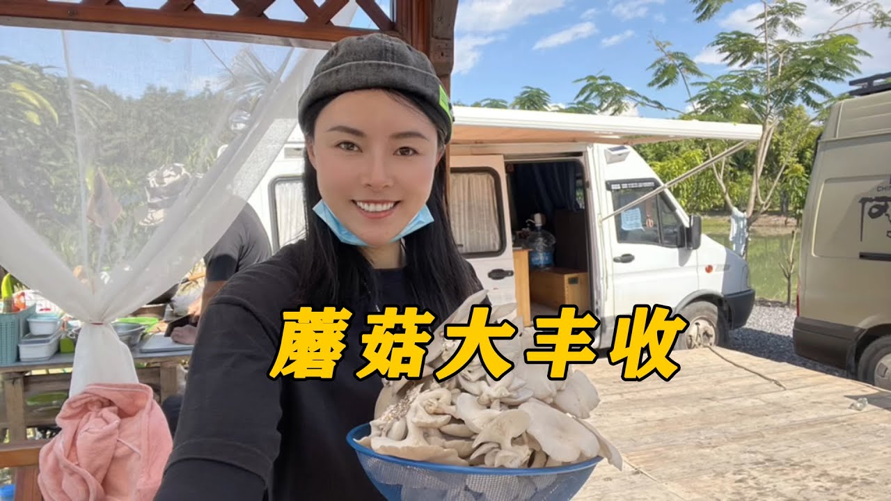 Vanlife房車旅行自駕遊中國，雲南西雙版納體驗當地生活Vanlife Travel  tour in China, experience local life in Xishuangbanna