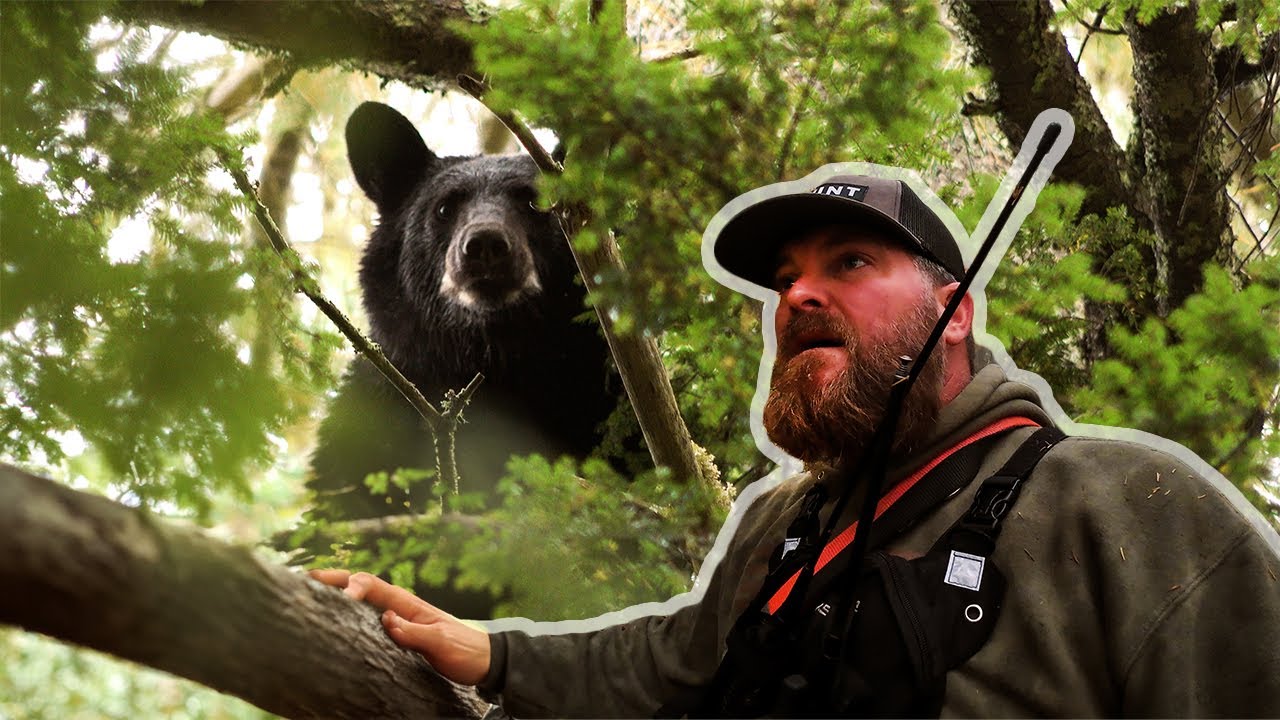 Epic BIG WOODS Bear Hunt! - (Black Bear Down!!)