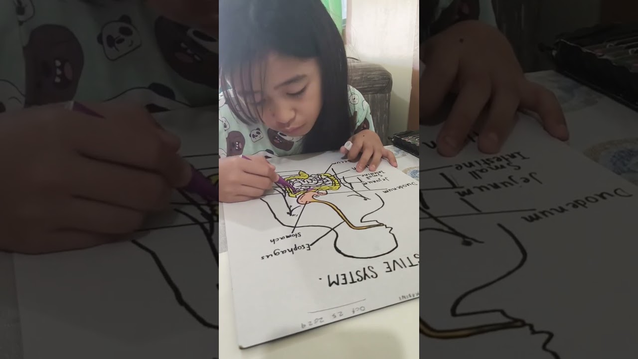 How to draw Digestive for kids with label (by: Cykie Misoles)