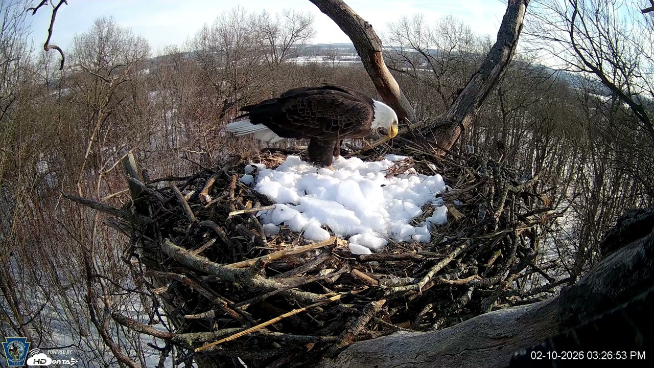 Hanover Eagles Live Cam   HDOnTap — Mozilla Firefox 2026 02 10 15 27 12