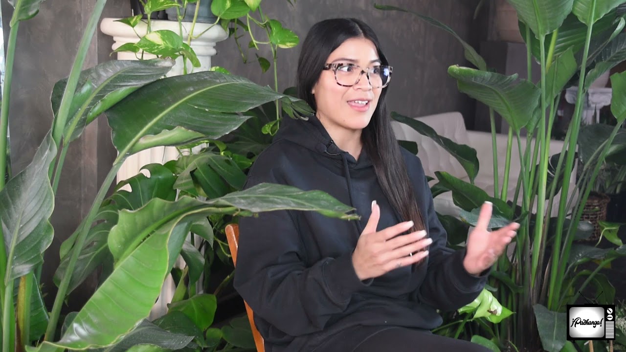 Semillas Plant Studio x Pachanga TV