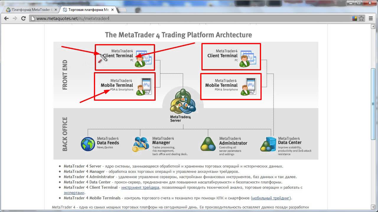 Обучение MetaTrader 4: Введение
