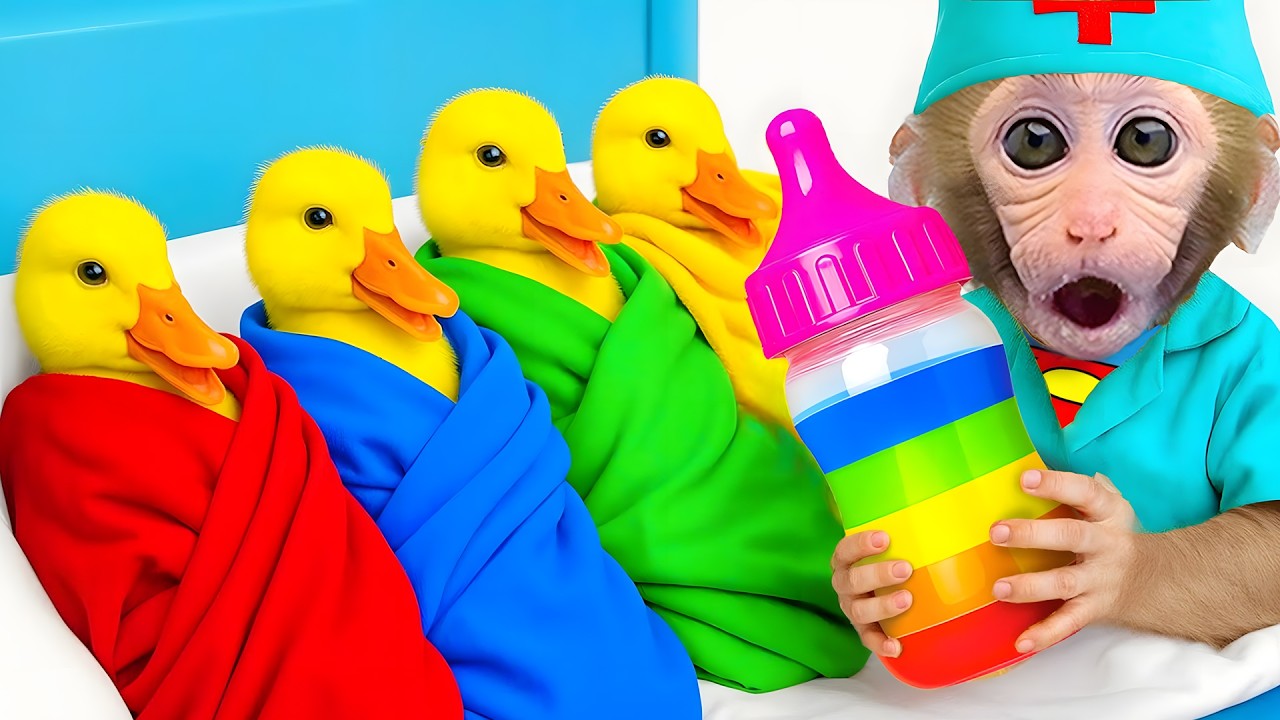 Monkey Bon Bon Takes Care of Ducklings and Eats Rainbow Popcorn | Bon Bon Indonesian