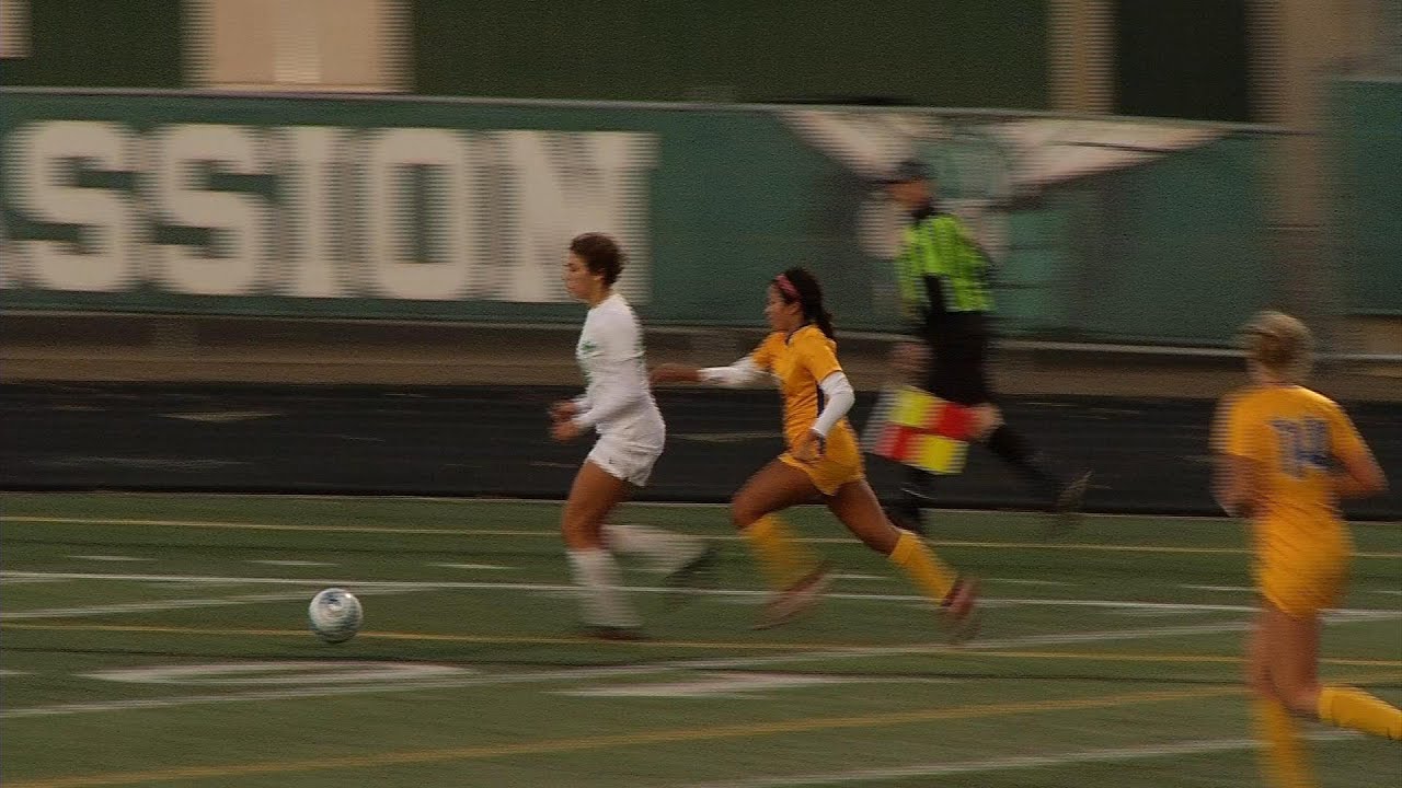Wayzata Girls Soccer Loses Heartbreaker in State Tournament Quarterfinal