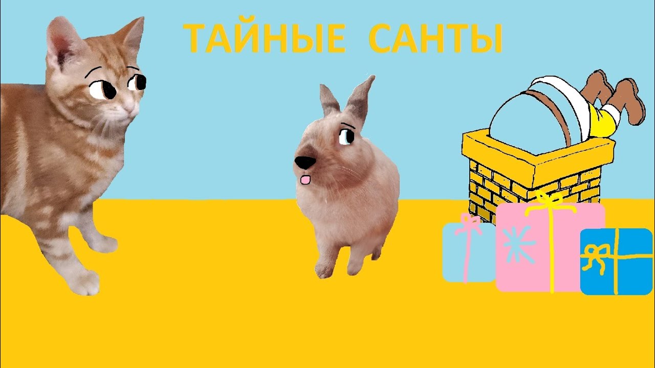 Стали ТАЙНЫМИ САНТАМИ ! НОВЫЕ ГЕРОИ на КАНАЛЕ !  Милка и Мика ТАЙНЫЕ САНТЫ !