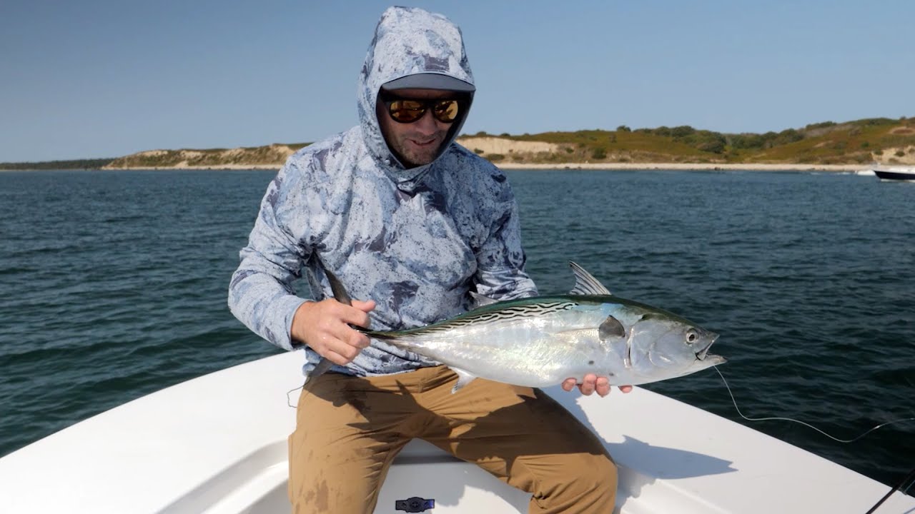 How To Catch BIG Albies | 