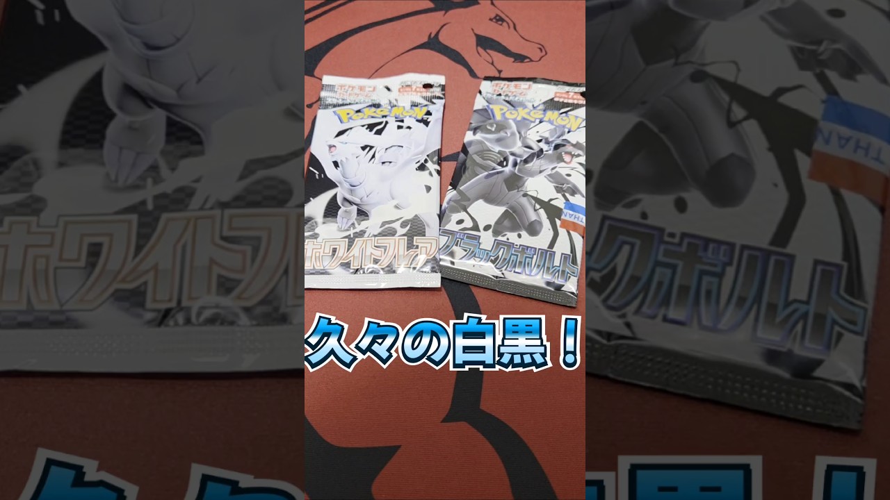 【ポケカ開封】ブラックボルトとホワイトフレア　開封していこう