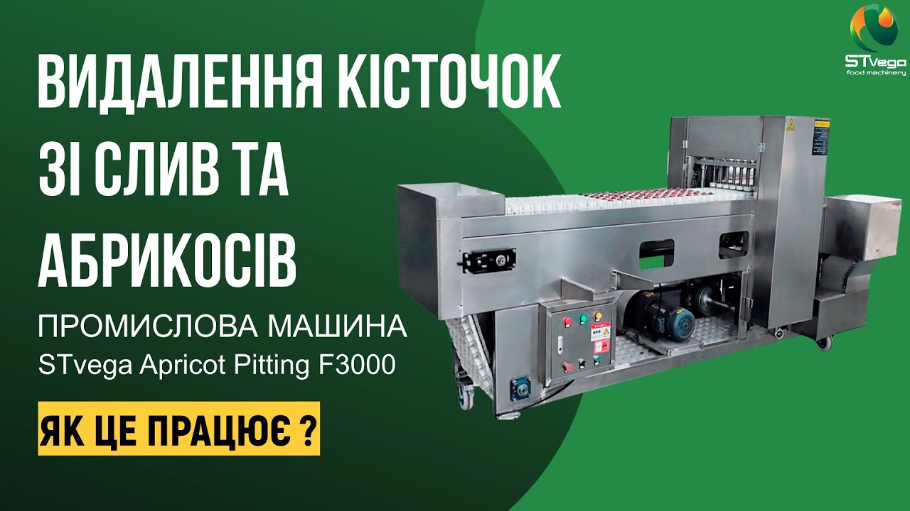 Промислова машина для видалення кісточок зі слив та абрикосів - STvega Apricot Pitting F3000