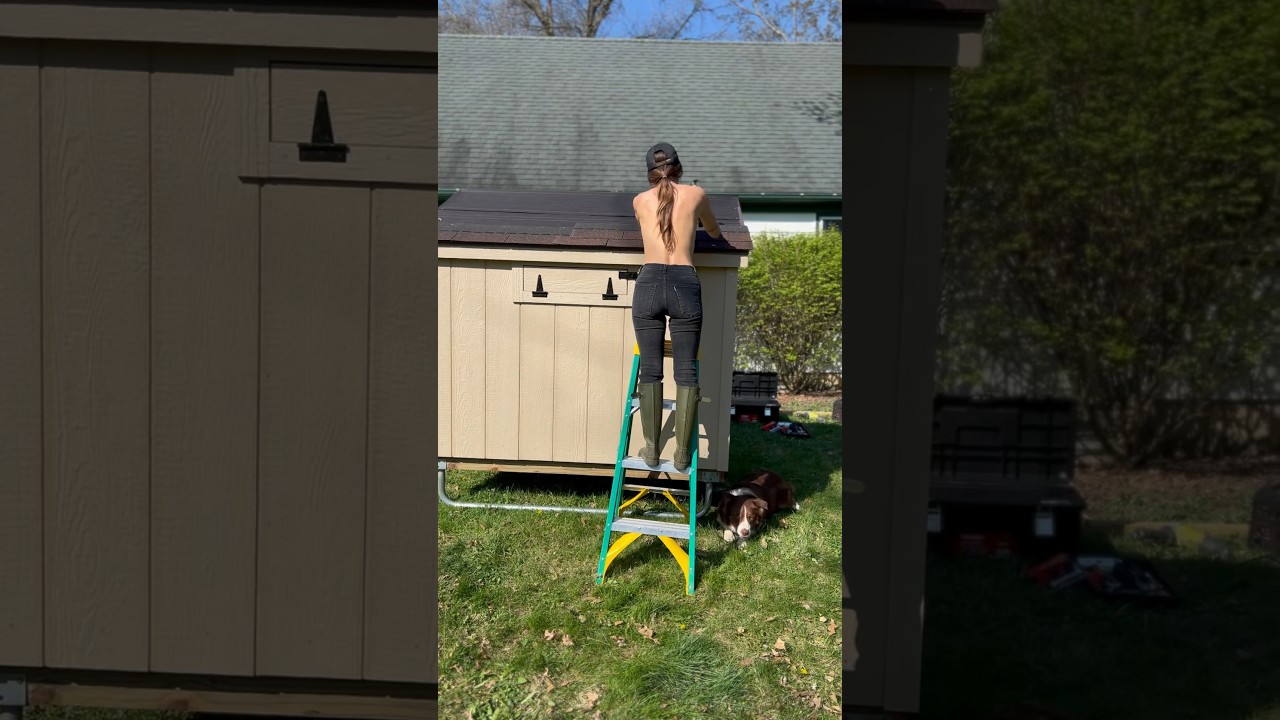 Built a new chicken coop for my chickens, but it wasn&rsquo;t easy! 😩🐓 #chickencoop #raisingchickens